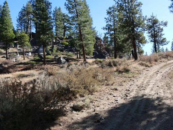 20 T 20 #18, Chilcoot, CA 96105