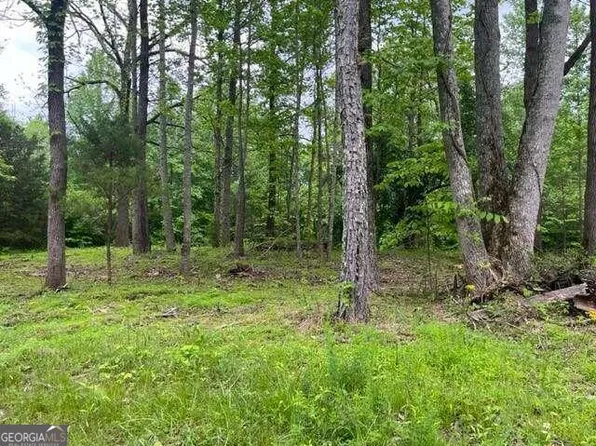 4 Swan Bridge Rd, Talking Rock, GA 30175