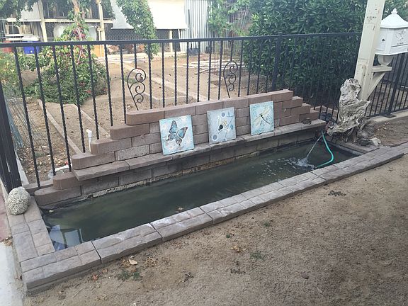 Fish pond 