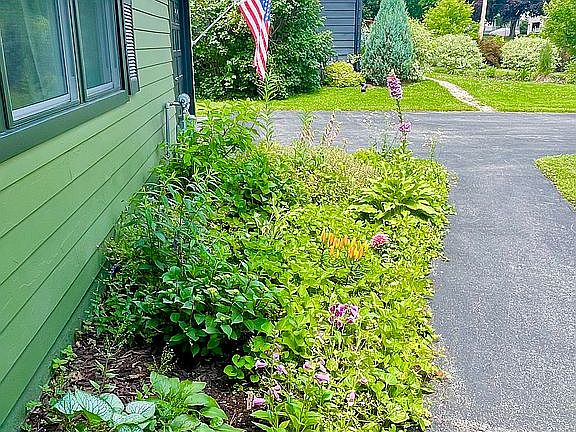 Perennials along walkway