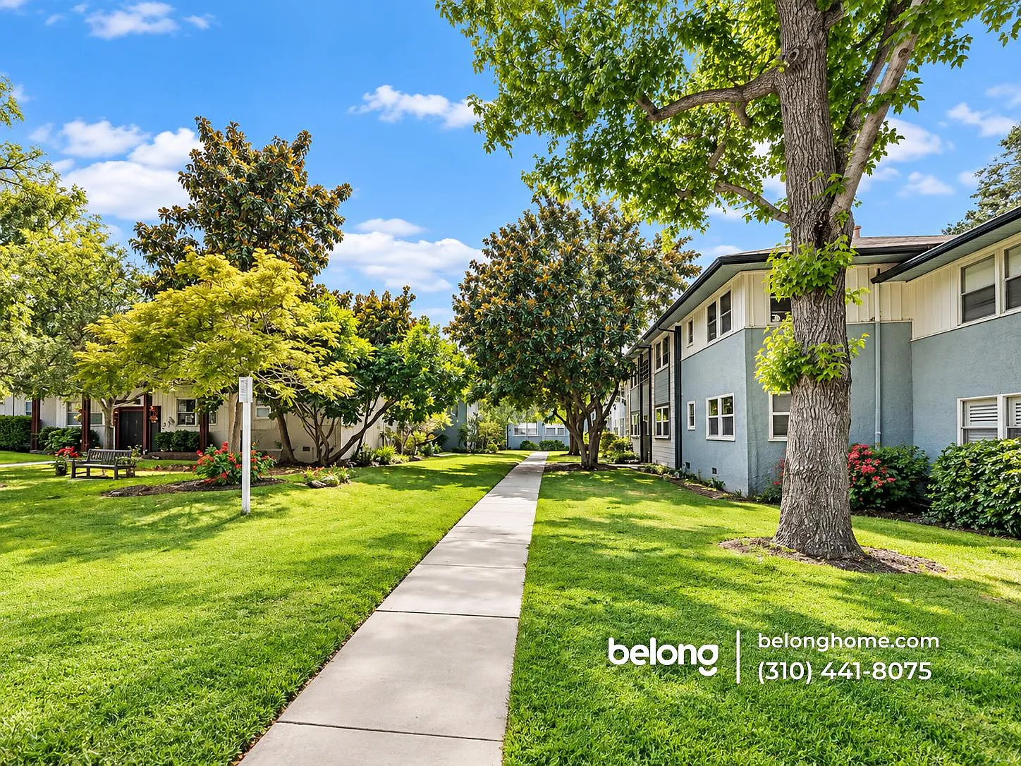2 bed, 1.5 bath, 906 sqft, $3,200 — Photo 3
