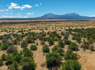 Badger Ct #154, Walsenburg, CO 81089
