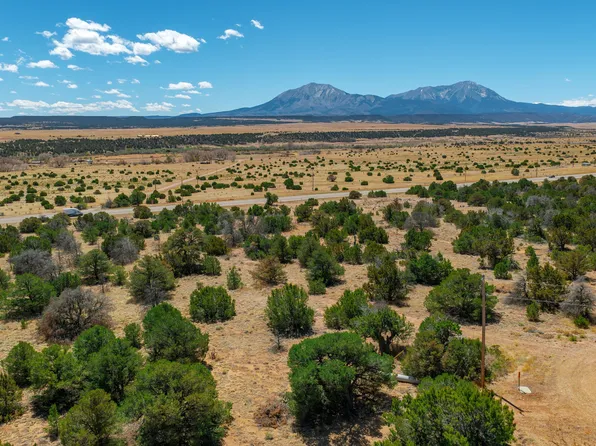 Badger Ct #154, Walsenburg, CO 81089