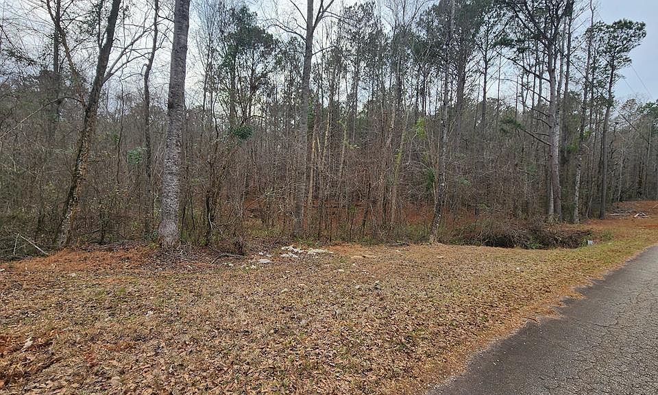 1st image of 0 Monument Rd