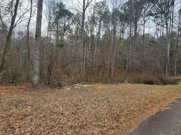 0 Monument Rd, West Pt, GA 31833