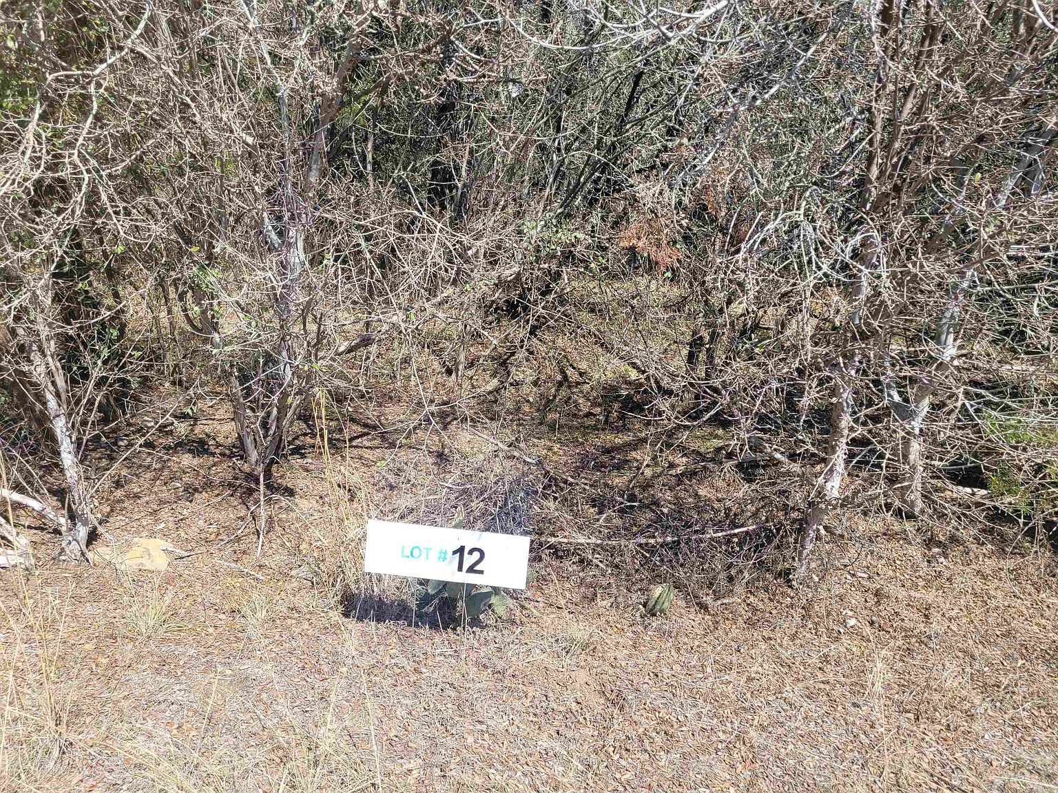 TBD STELLAR LOT 12, TX 78611 MLS 165536 Zillow