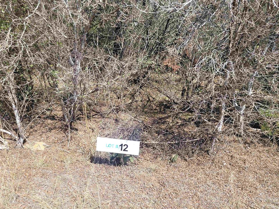 TBD STELLAR LOT 12, TX 78611 MLS 165536 Zillow