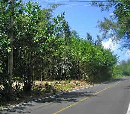 2nd image of Paradise Ala Kai Dr Lot 428
