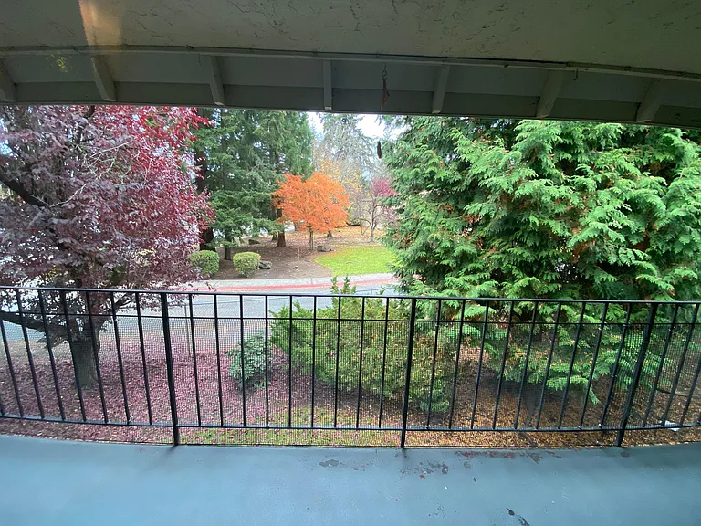 12504 NE 117th Pl #A8 — Photo 16