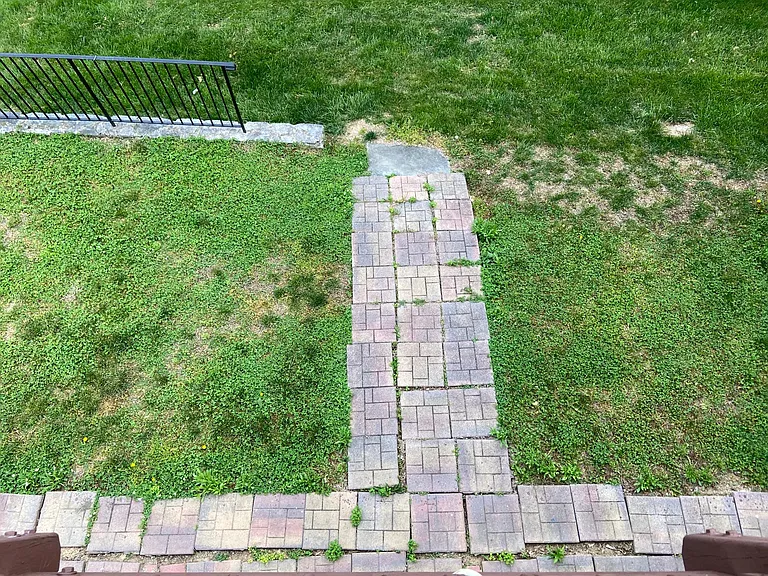backyard walkout