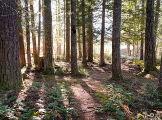 21 N Quinault Pl, Hoodsport, WA