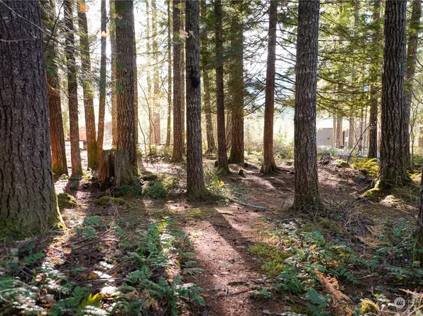 21 N Quinault Place, Hoodsport, WA 98548
