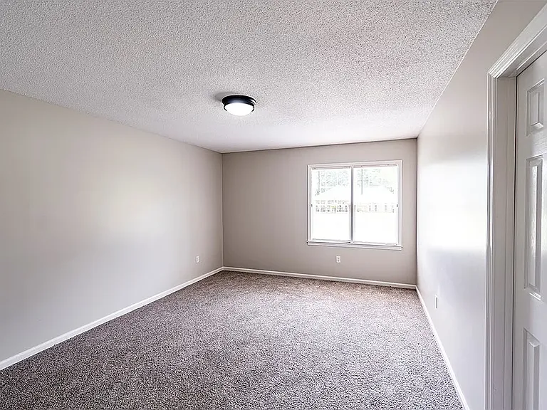 528 Iveys Scenic Dr — Photo 5