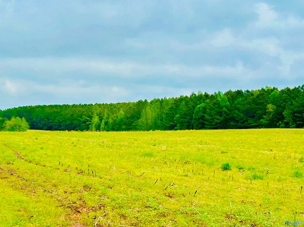 20 Acres Hwy #72, Madison, AL 35756