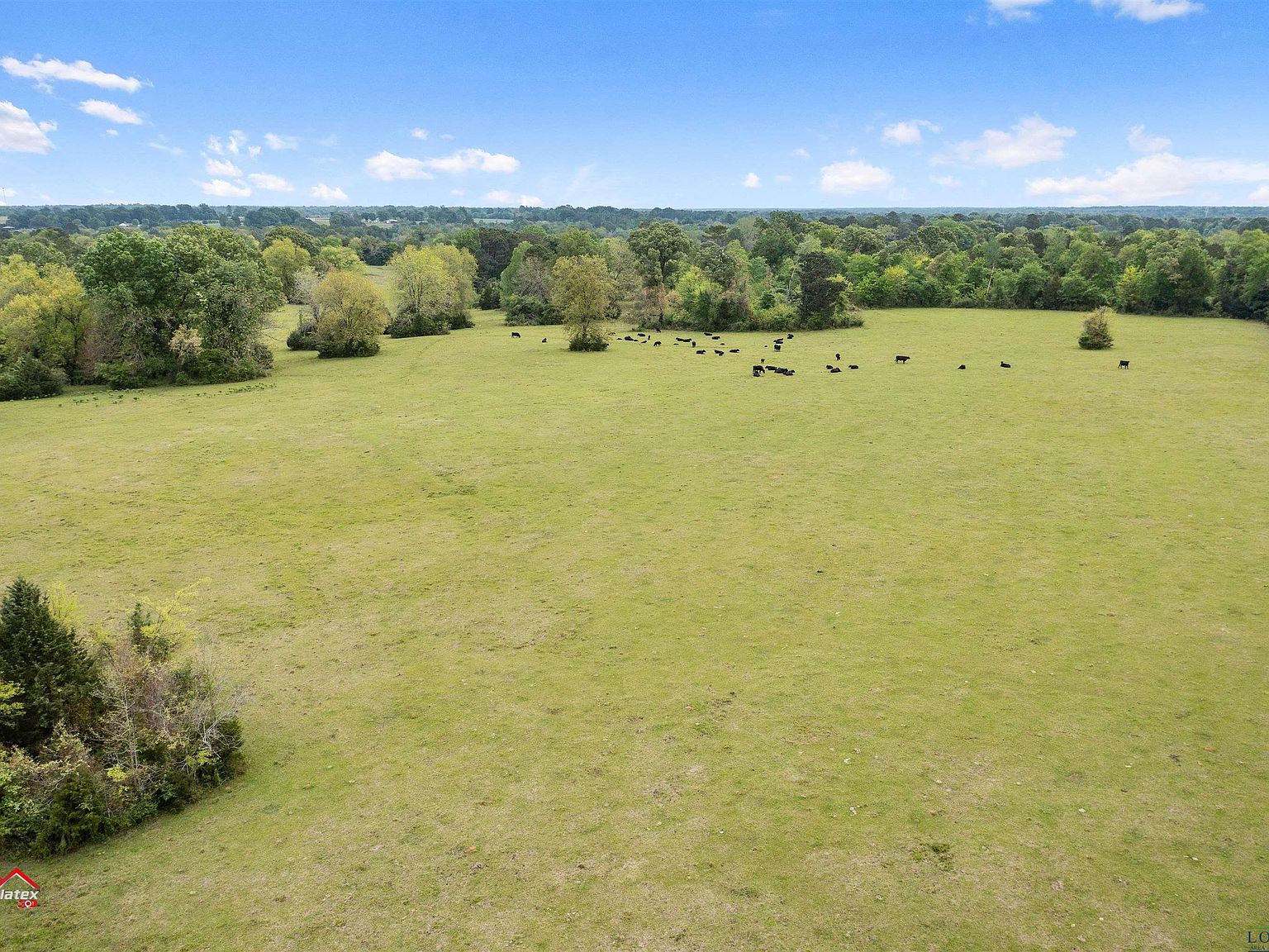 County Road 246, Beckville, TX 75631 MLS 20232370 Zillow