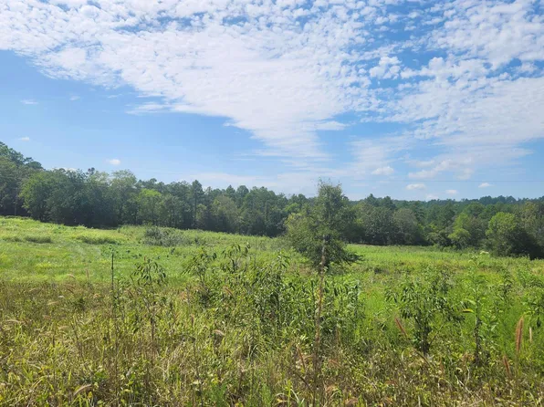 Yonder Tree Ln, Story, AR 71970