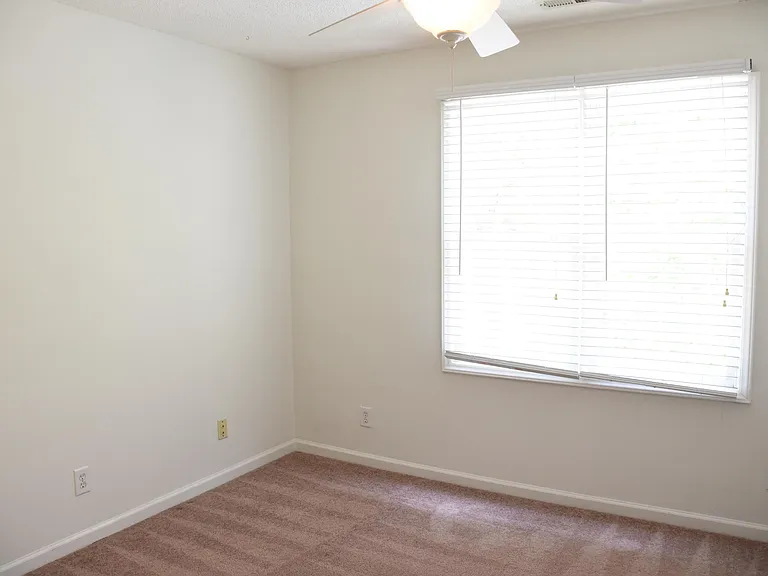 213 Snow Camp Dr — Photo 18