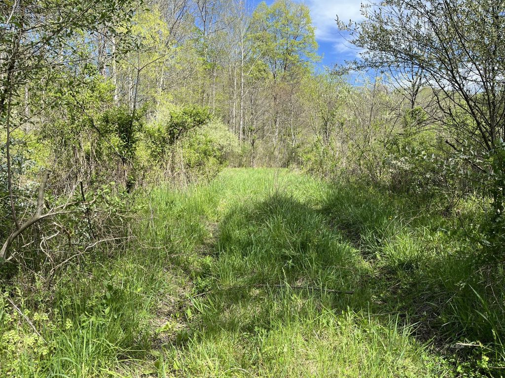 Real estate listing image