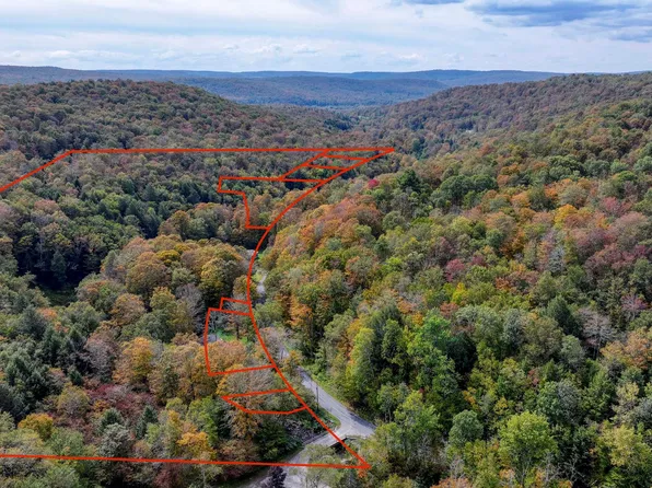 Grooville Road, Livingston Manor, NY 12758