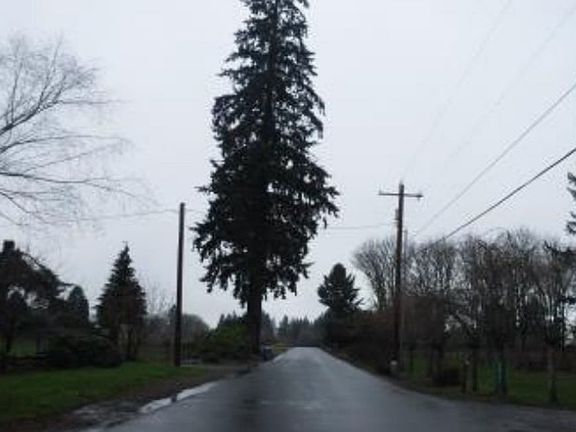 Exterior Neighborhood (street photo)