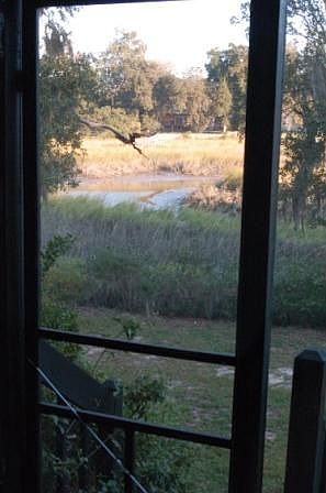 View from Back Porch