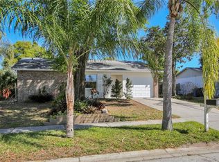 13818 Pathfinder Dr, Tampa, FL 33625
