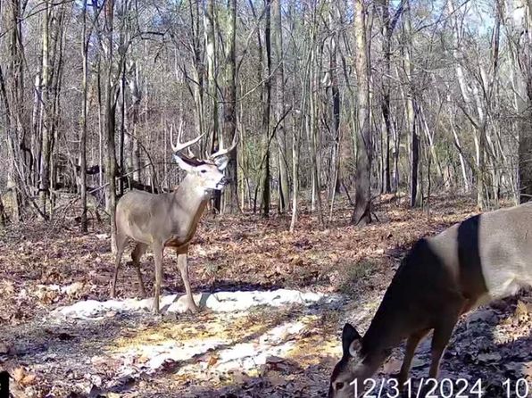 Highland Hills Ln, Flora, MS 39071