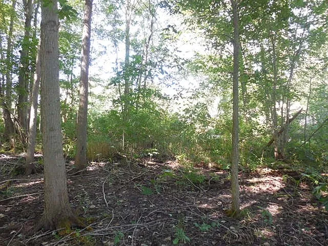 485 E photo 1