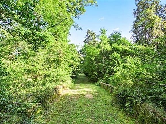 2nd image of Bamboo Ln