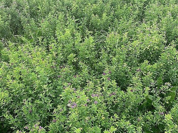 5th image of 1396 E County Road 350 N