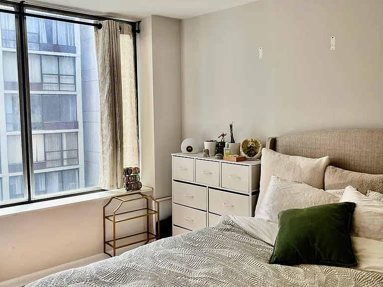 233 E Erie St #1910 — Photo 3