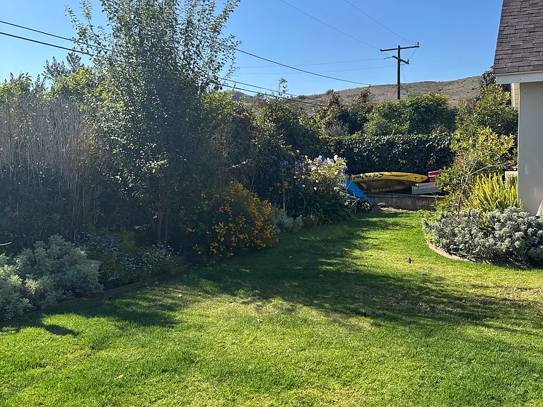 Back yard with mature fruit trees