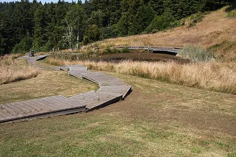 Walkway to pond