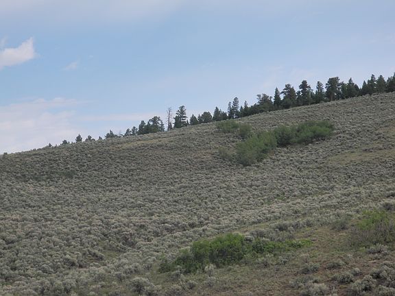 3rd image of Vacant Land - Forbes Wagon Creek Ranches