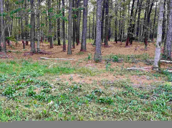 17089 Highway 105, Sour Lake, TX 77659