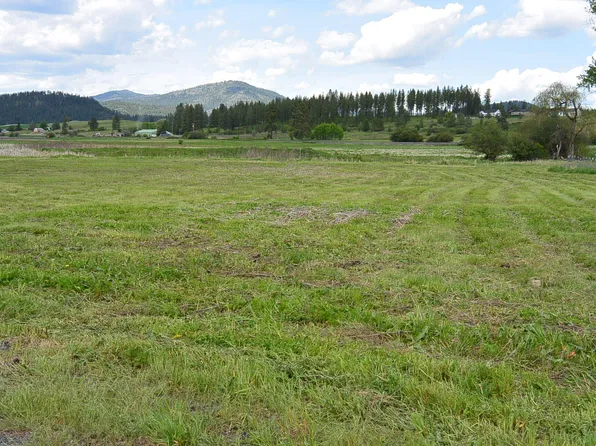 13XX Indian Springs Trl, Chewelah, WA 99109