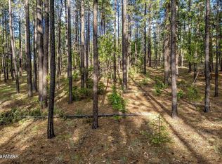 15 County Road 2083 #10, Alpine, AZ 85920