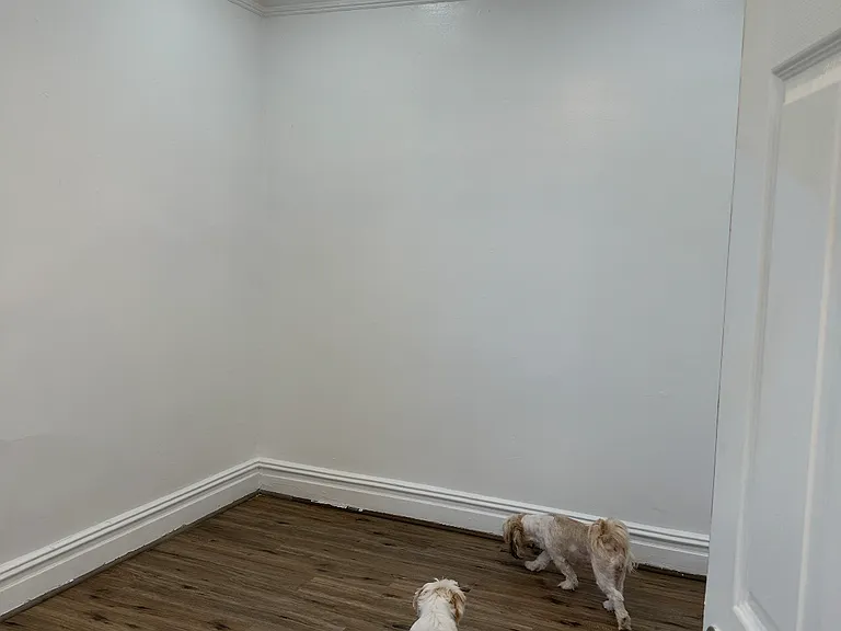24 Cator Ave #2 — Photo 27