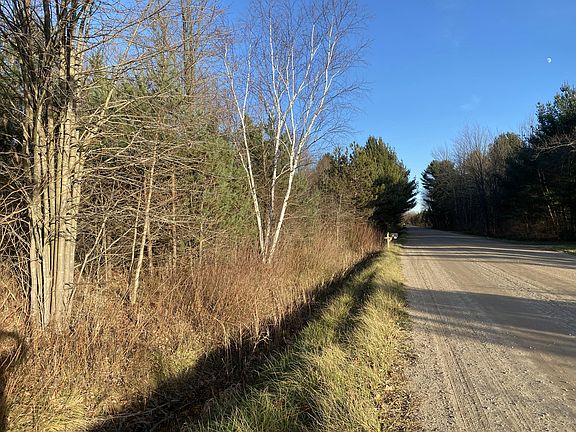 2nd image of 0 Pierce St