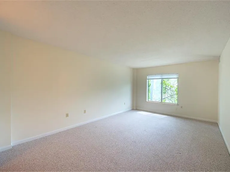 348 Franklin St — Photo 12