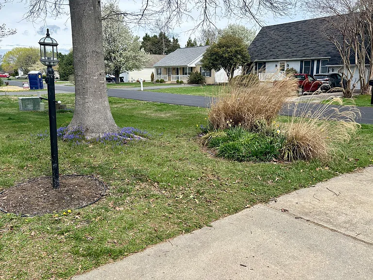 16 Colgate Dr — Photo 3