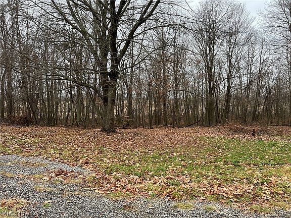 3rd image of 31293 Speidel Rd