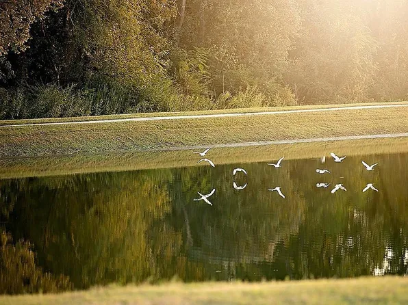 151 Mia Lago Dr, Montgomery, TX 77356