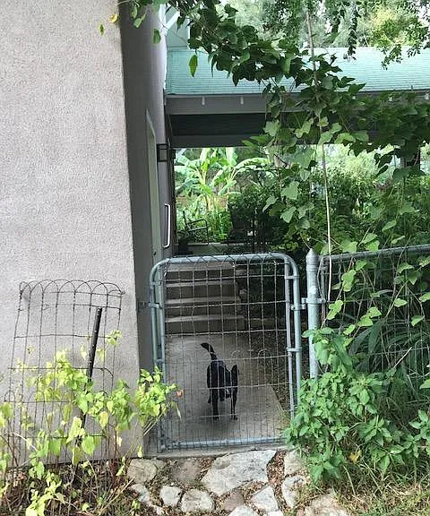 ENTRANCE GATE