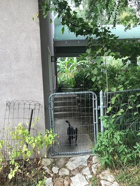 ENTRANCE GATE