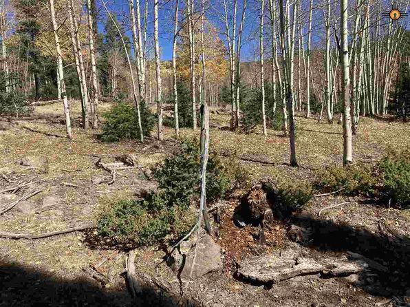 For Sale In Angel Fire Nm