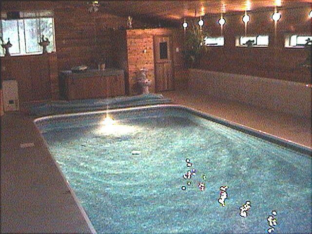 indoor pool,sauna,hot tub