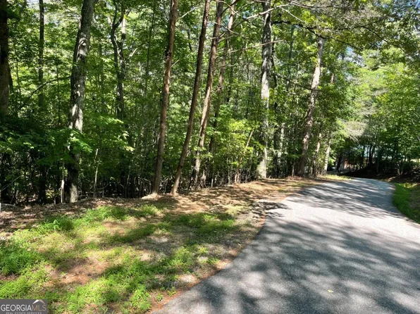 0 Rizzitello Ln #5, Blairsville, GA 30512