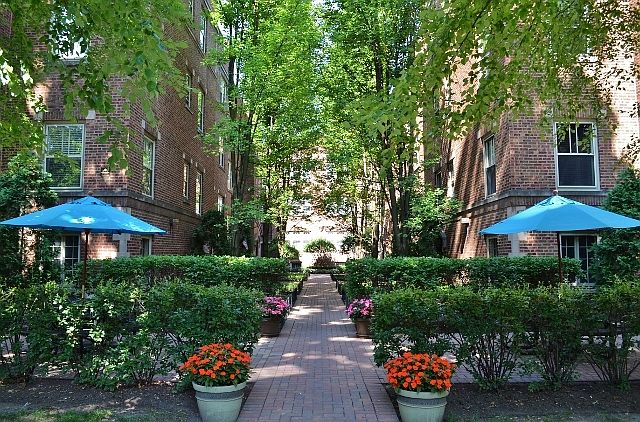 1st image of 225 N Oak Park Ave APT 2W