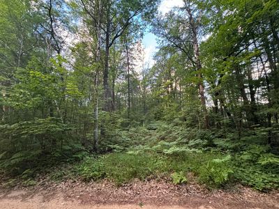 LOT 120 Crystal, Johannesburg, MI, 49751